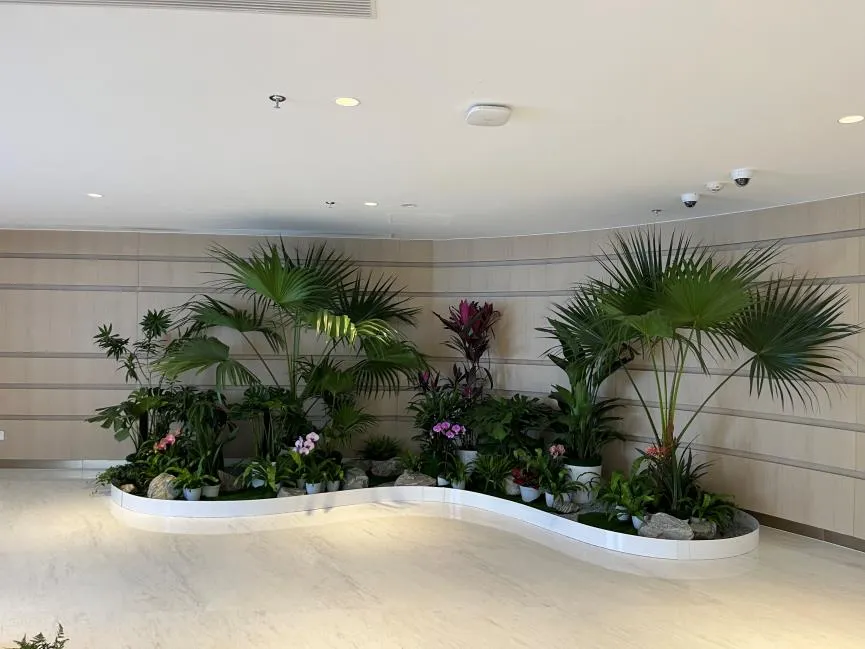 镇海花木出租设计，为你定制专属自然之美